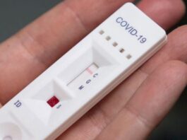 Covid, via libera del ministero della Salute per i test salivari Test salivari, fonte gildavenezia.it