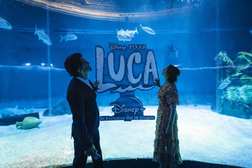 L'anteprima di Luca all'acquario di Genova.
