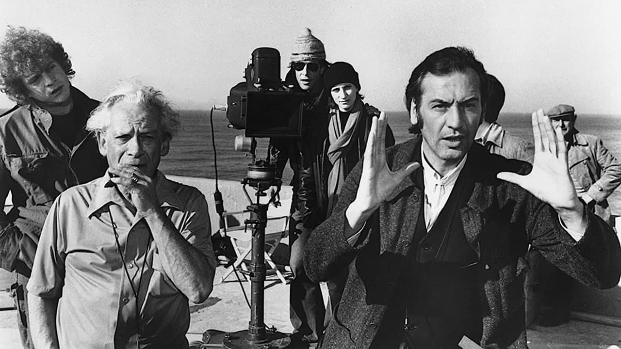 “Lo stato delle cose”, il Leone d’oro a Venezia a Wim Wenders Lo stato delle cose, fonte mubi.com