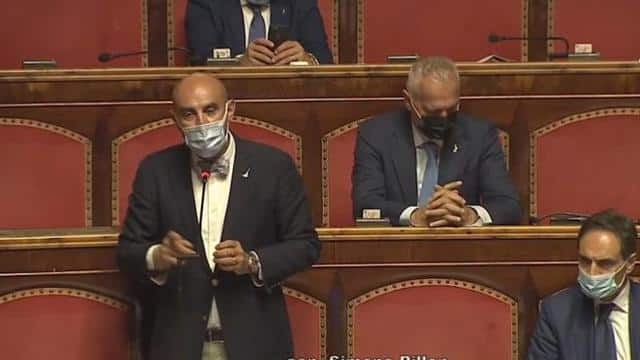 Ddl Zan, Pillon provoca nella discussione al Senato: il video ddl Zan Pillon