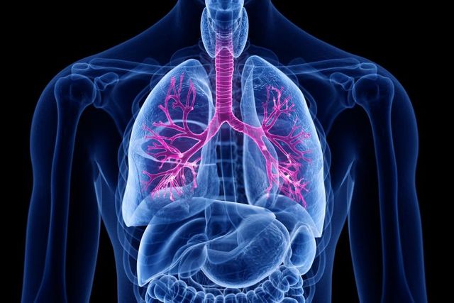 Patologie bronchiali: asma e BPCO - Metropolitan Magazine