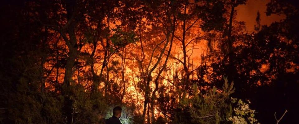 Attentato incendiario nella tenuta di Mattarella a Castelporziano