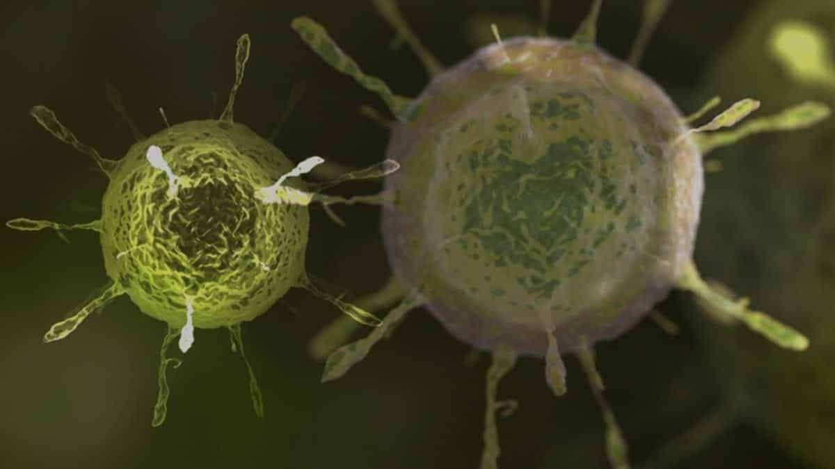 Covid, perché la variante Lambda fa più paura della Delta: il suo effetto sui vaccini