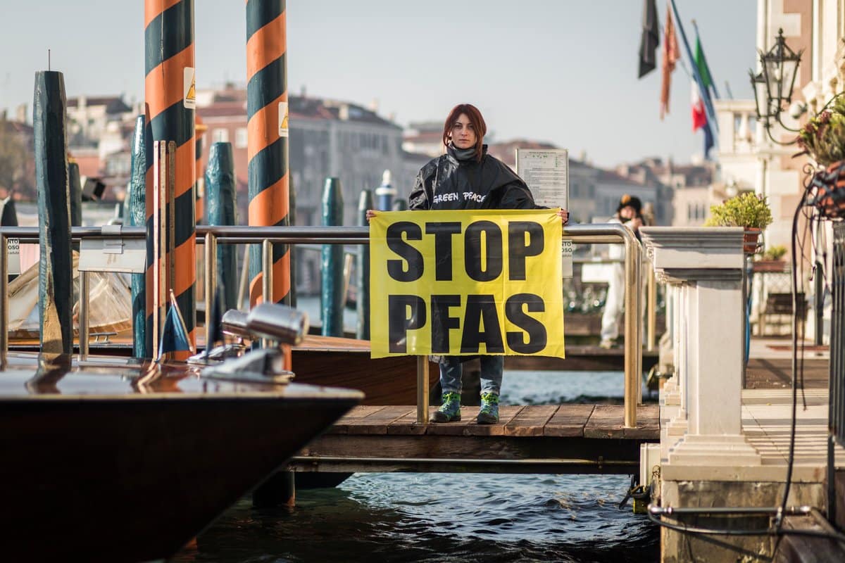 In Veneto gli alimenti contaminati da PFAS: i numeri e la verità pfas veneto