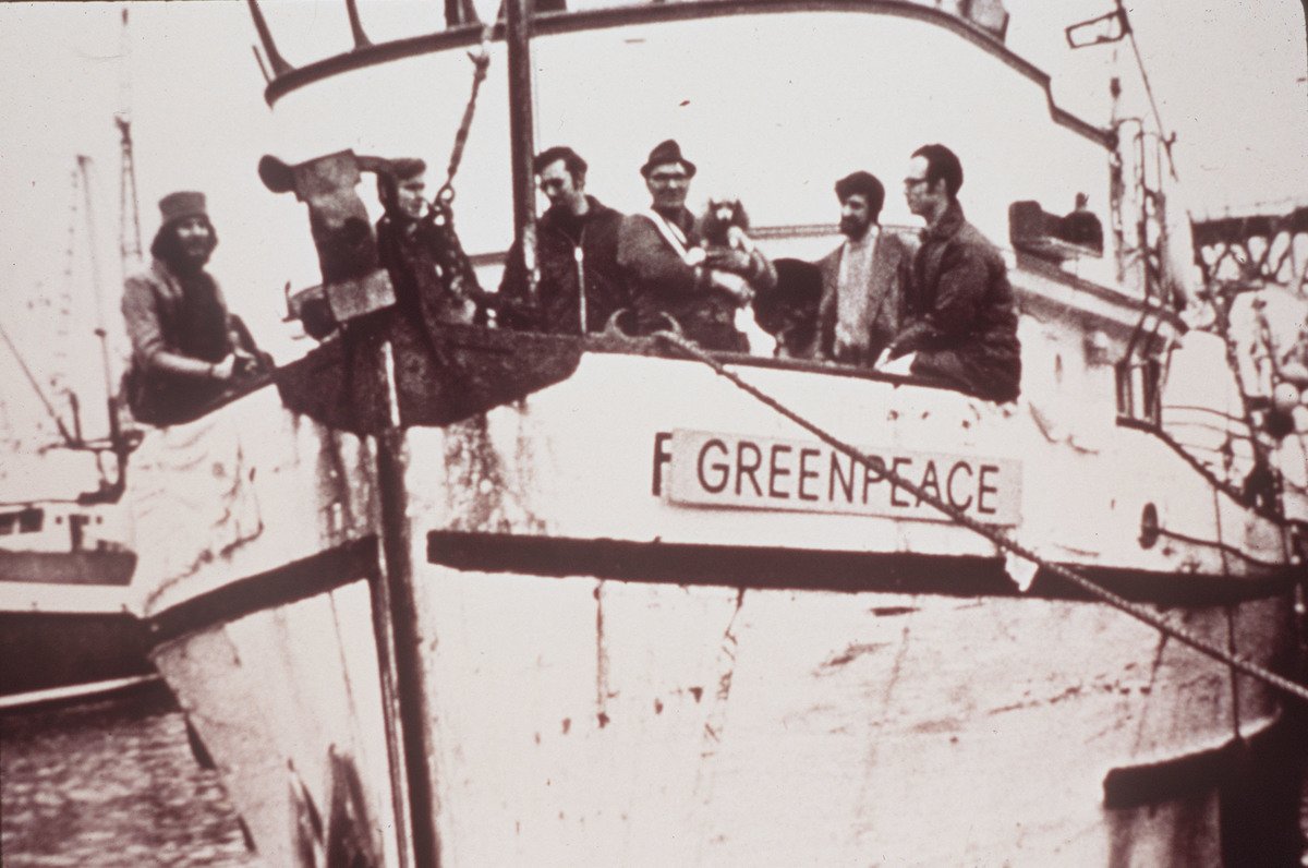 Greenpeace, 50 anni fa fu fondata la famosa organizzazione ambientalista Greenpeace, fonte greenpeace.org