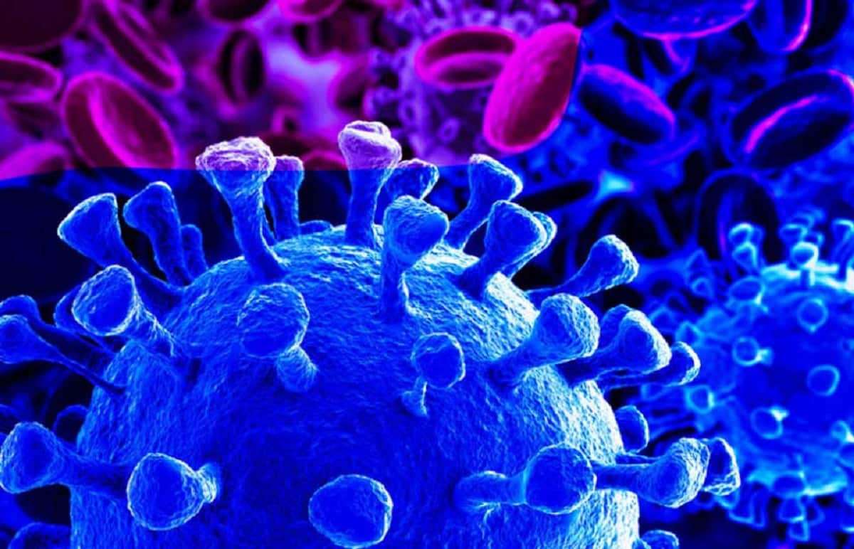 Covid, l’Ema acconsente al Paxlovid ma si fermano i test sui monoclonali: “Non efficaci su Omicron” Covid-19: il nuovo report AIFA sugli anticorpi monoclonali