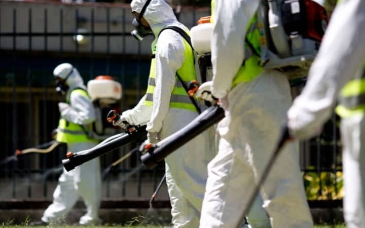 Disinfestazione e Derattizzazione Roma: ecco come funziona