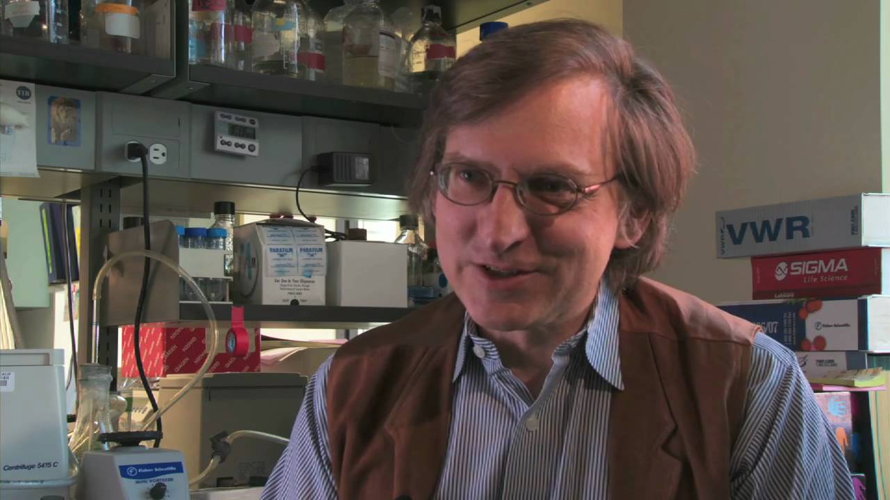 Rivelazioni shock dall’epidemiologo Ian Lipkin: “Sapevo della pandemia molto prima”