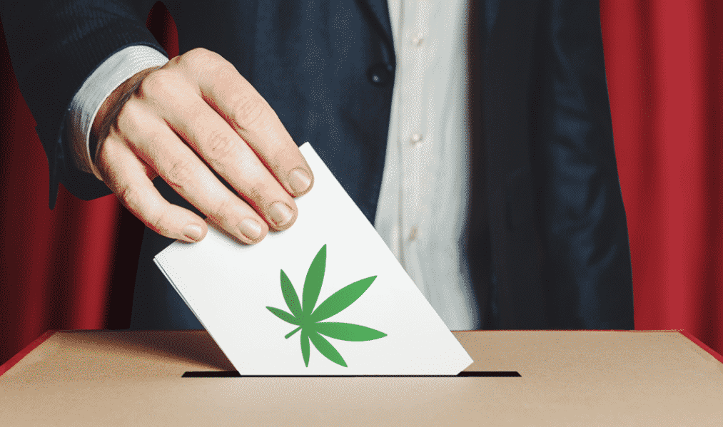 Come si vota per il Referendum cannabis, anche con lo Spid