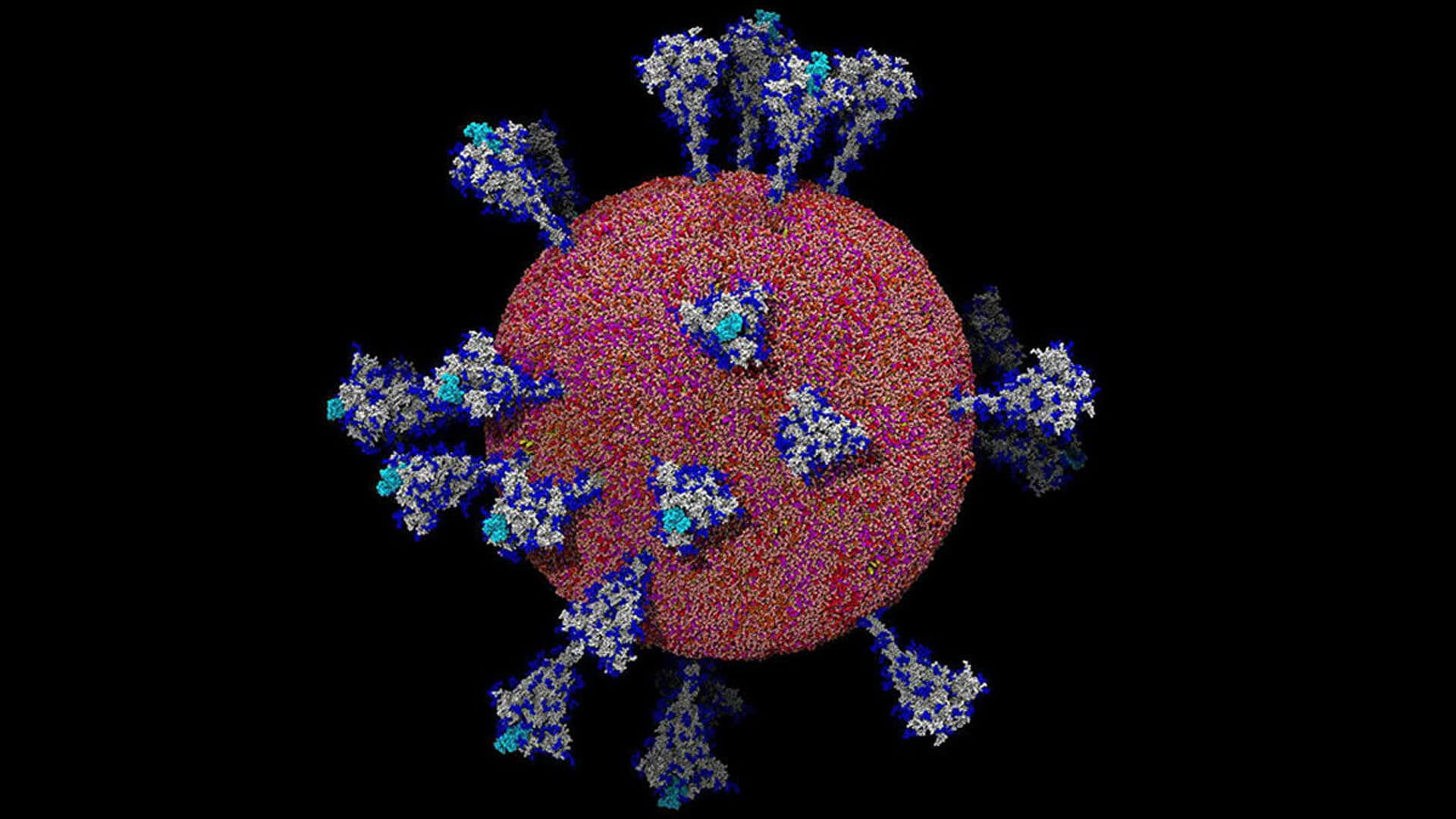 Covid, il virus non si è diffuso come arma batteriologica