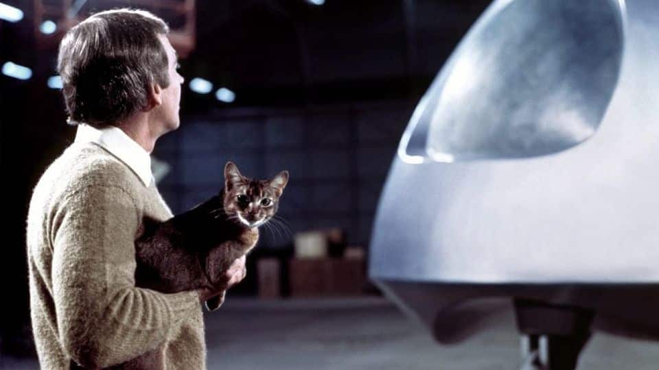 Una scena da "Il gatto venuto dallo spazio".
