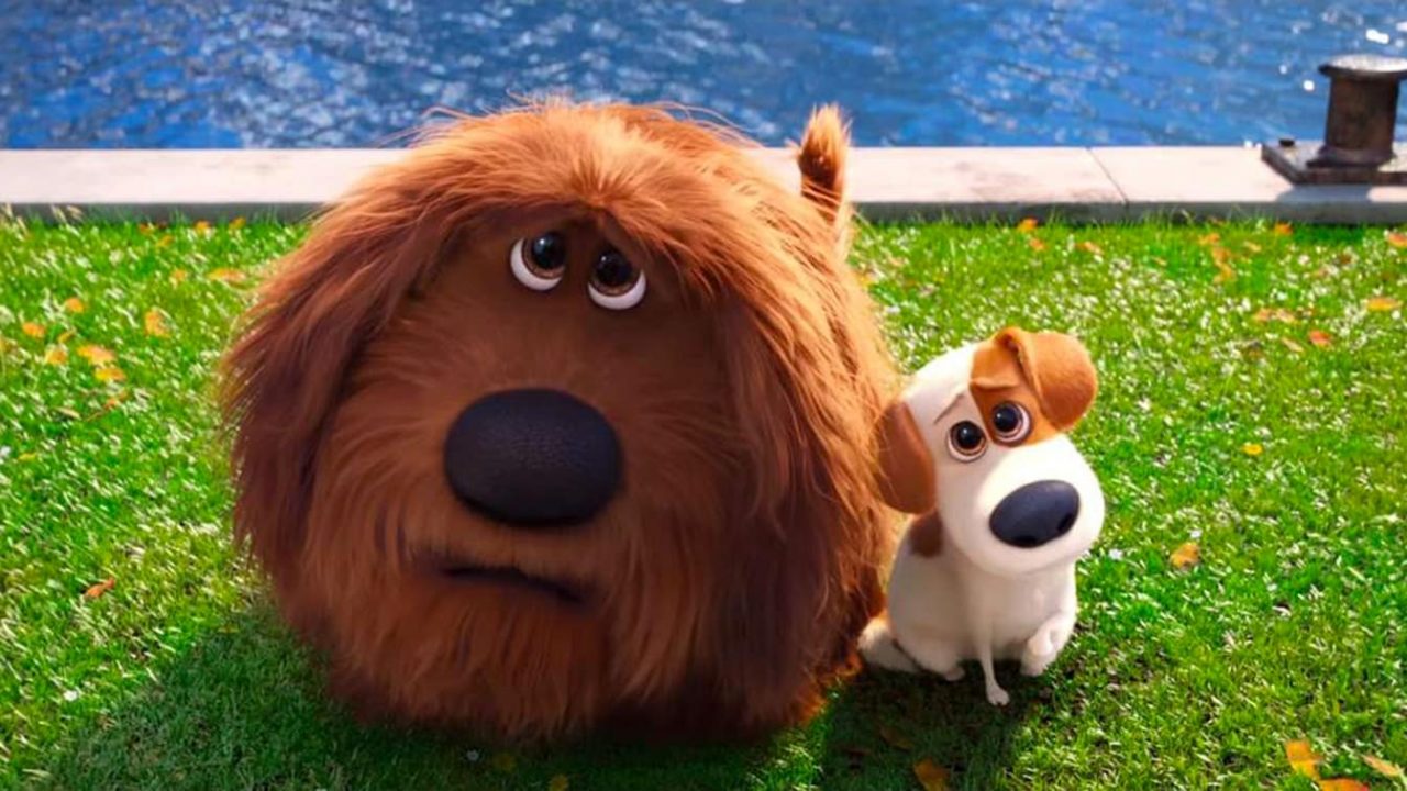 “Pets – Vita da animali”, stasera in tv la vita segreta dei migliori amici dell’uomo Pets vita da animali, stasera in tv, Credits: Best Movie