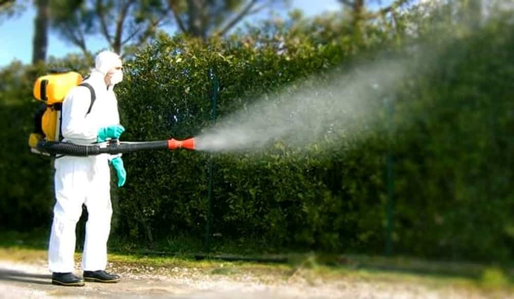 Ditta di disinfestazione per liberarti dai problemi di infestanti