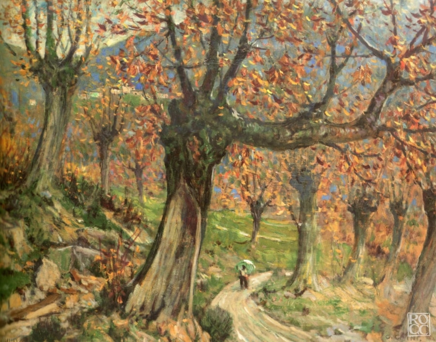 "Autunno in Val d'Agna, il castagneto"_repertorioChini