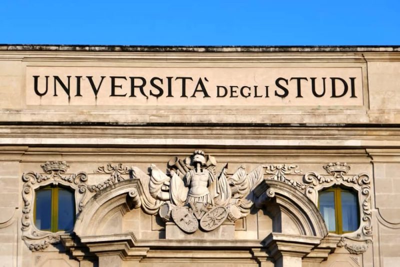 Università: è così determinante per l’inserimento nel mondo lavorativo?