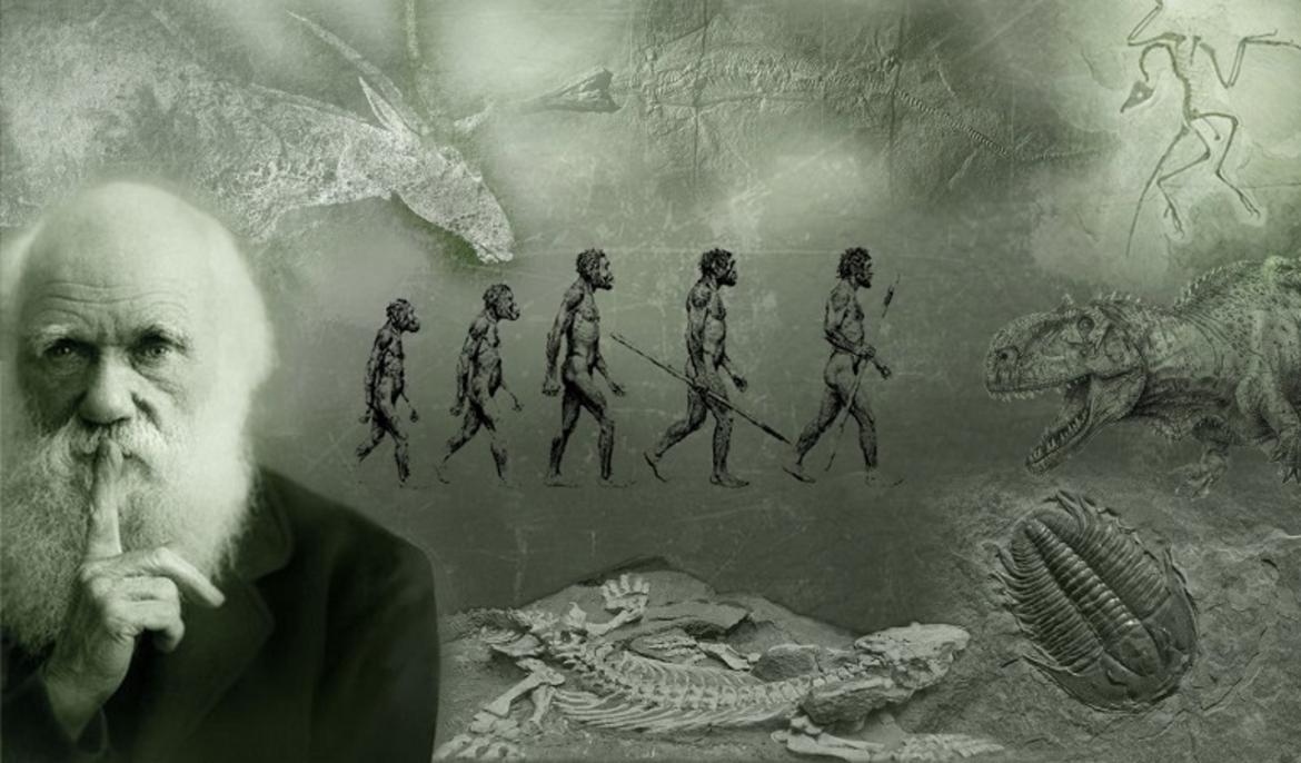 “L’origine delle specie”, 162 anni fa veniva pubblicato il libro di Darwin
