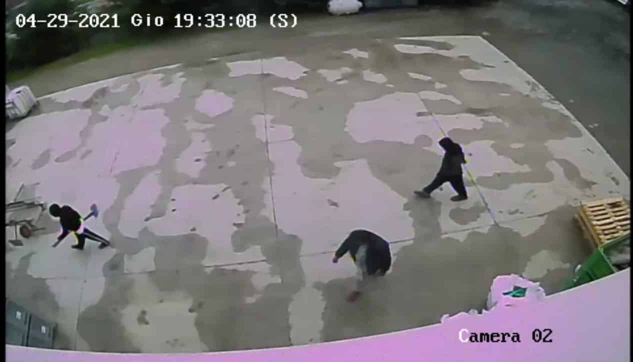 Barcellona: arrestato un altro cugino di Saman Abbas