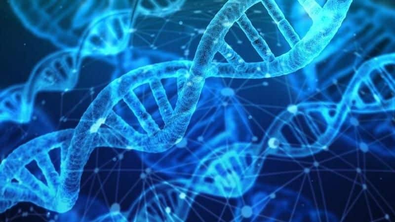 La struttura del DNA, 69 anni dalla magnifica scoperta struttura-del-dna
