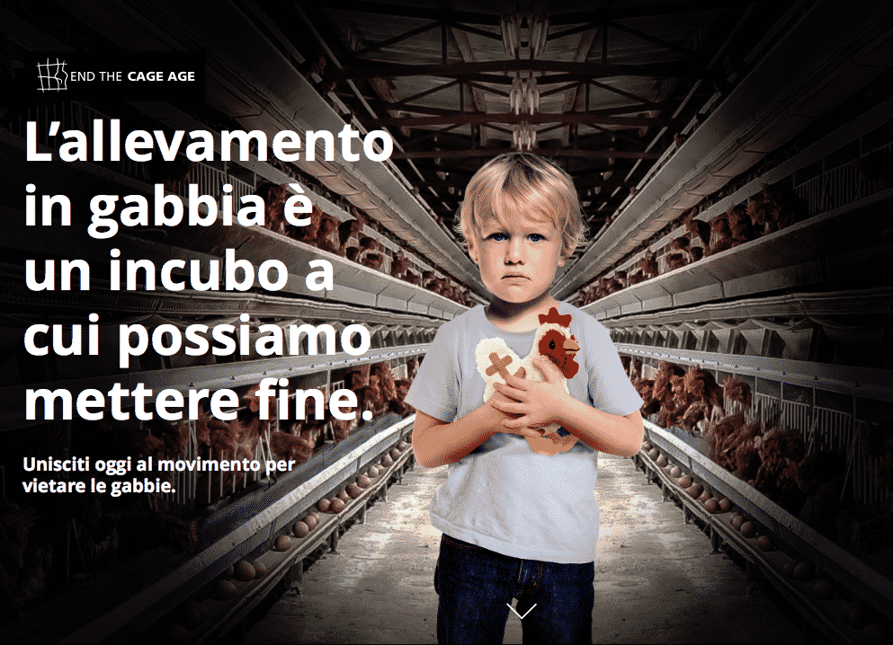 STOP agli animali in gabbia negli allevamenti: entro il 2027 sarà così in tutta Europa