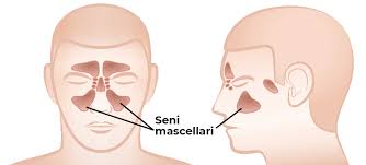 Rialzo del seno mascellare: come funziona