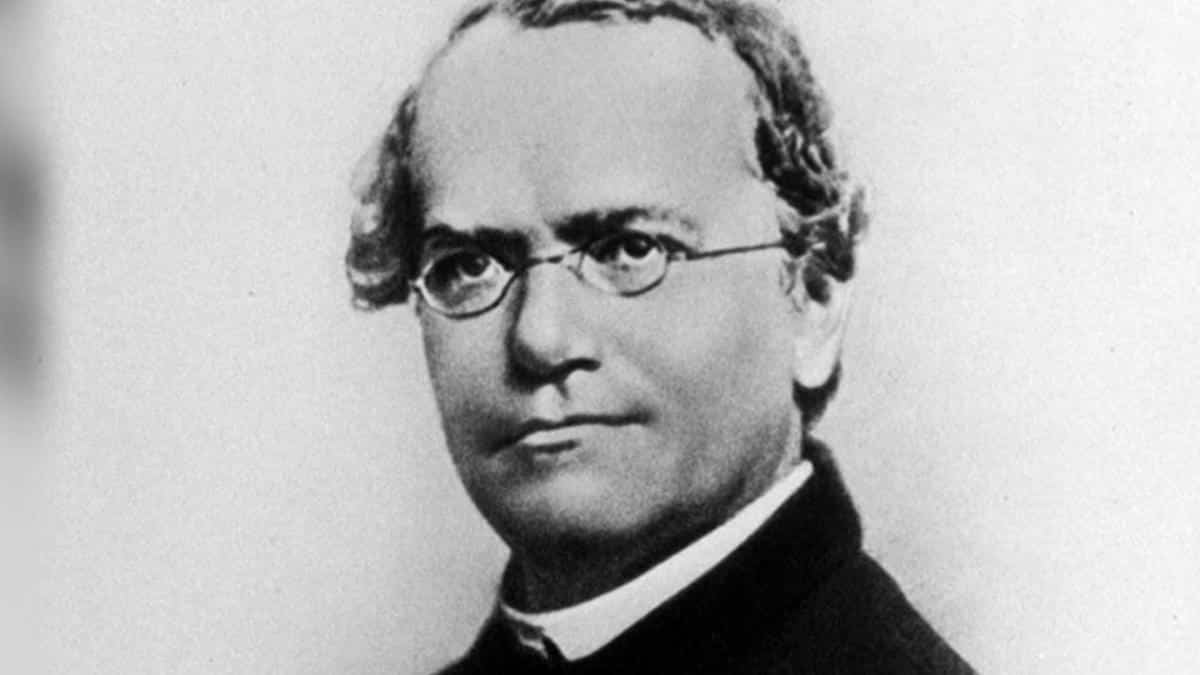 8 febbraio 1865, Gregor Mendel espone la teoria dell’ereditarietà Gregor-Mendel