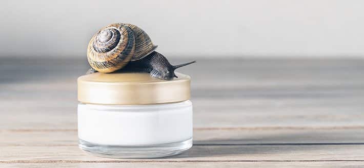 Crema alla bava di lumaca, tutti i benefici