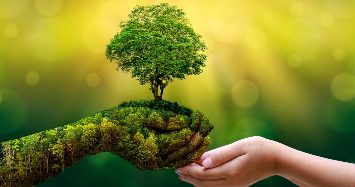 Venerdì 22 Aprile è la giornata della Terra: cos’è e com’è nata