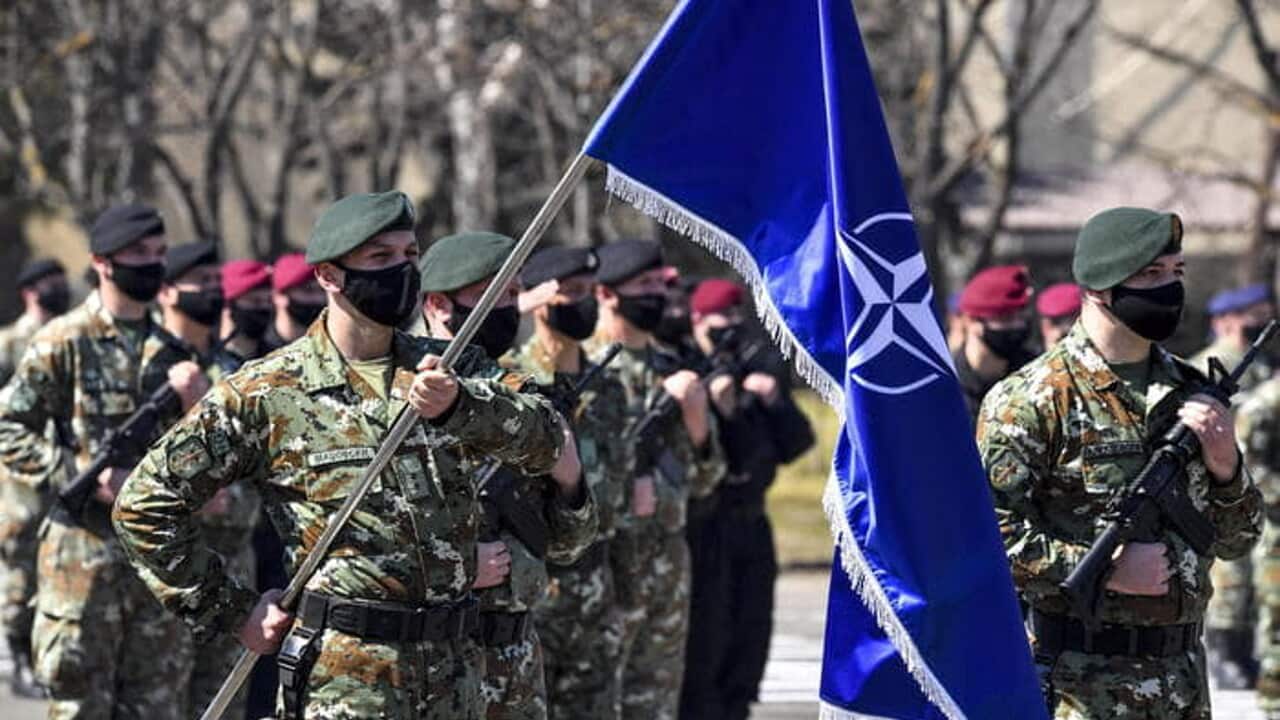 Ucraina, la Nato pensa a creare un esercito permanente al confine