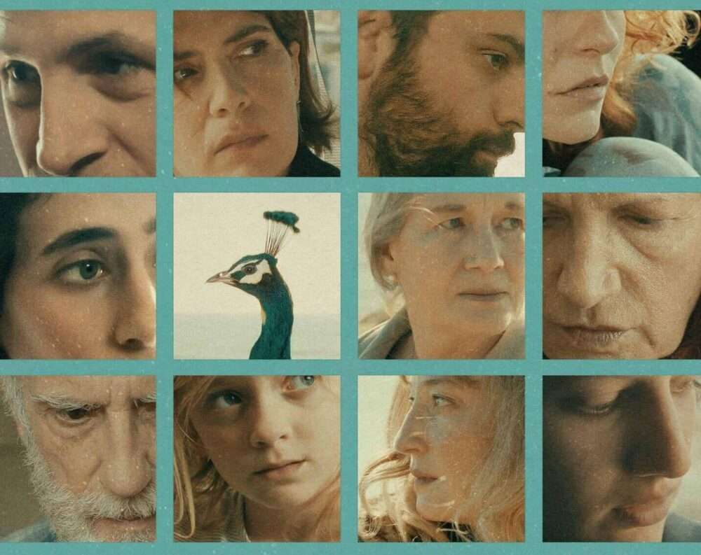 “Il paradiso del pavone”: in sala dal 16 giugno il terzo film di Laura Bispuri il paradiso del pavone