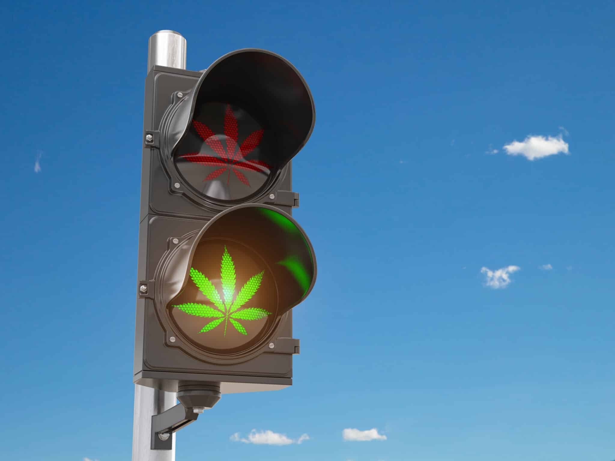 Cannabis Light: tutto quello che serve sapere