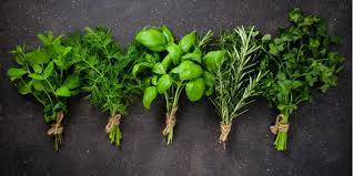 Erbe aromatiche, l’ingrediente essenziale erbe_aromatiche