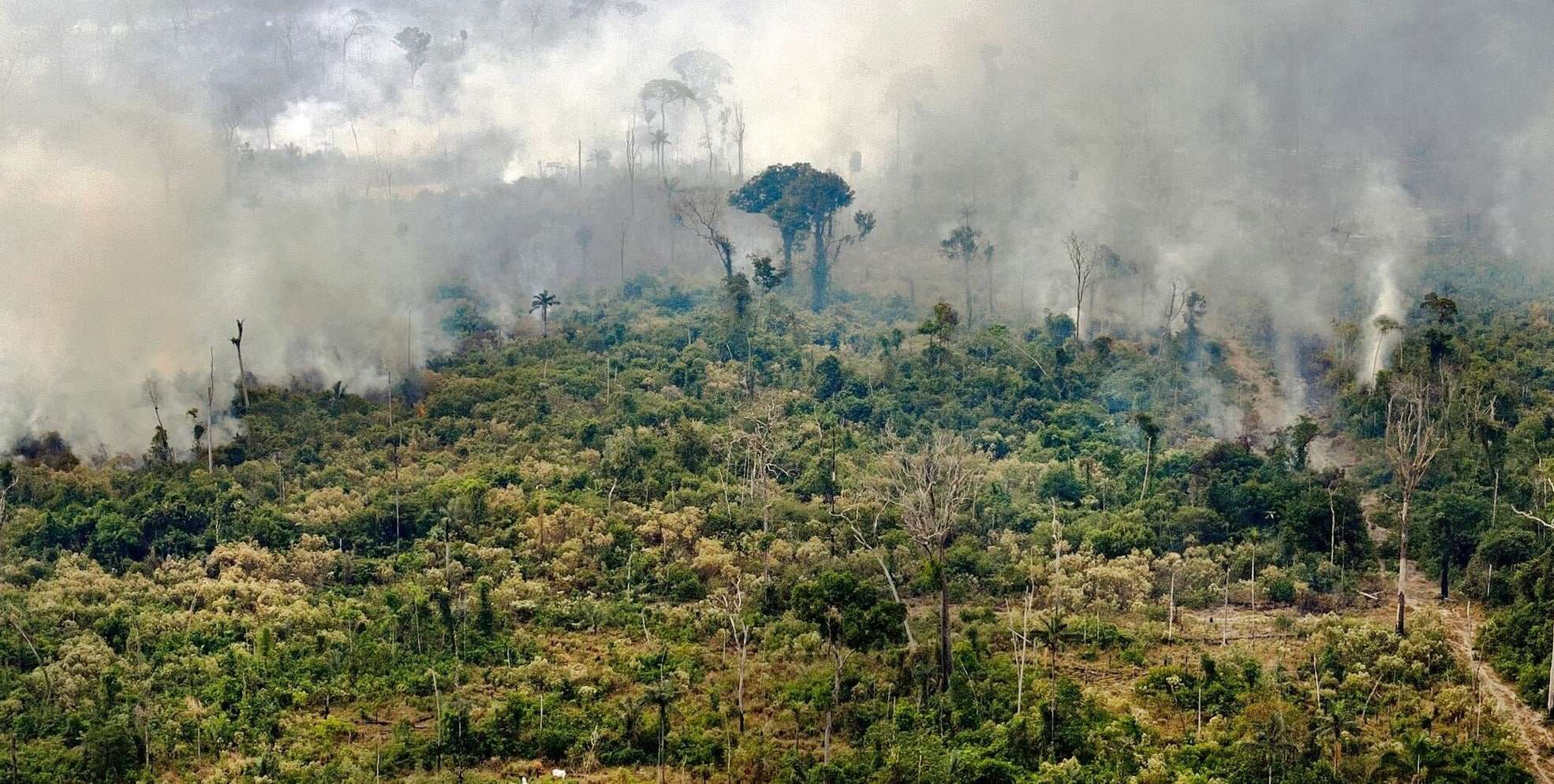 Quali sono gli effetti della guerra sull’ambiente? Effetti della guerra - Photo Credits Insideover.com