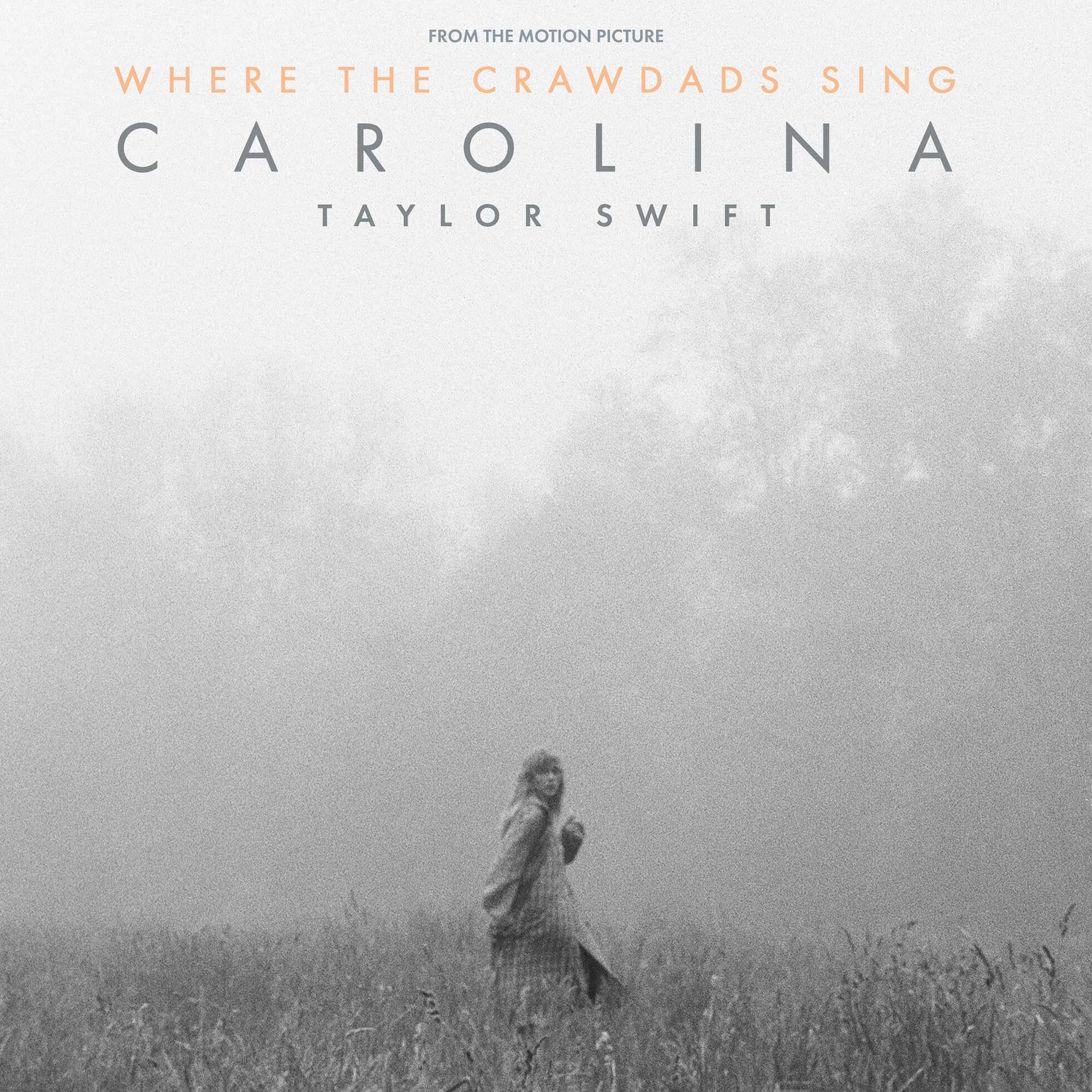 Taylor Swift: esce oggi Carolina, canzone del film “Where the Crawdads Sing” taylor swift Carolina