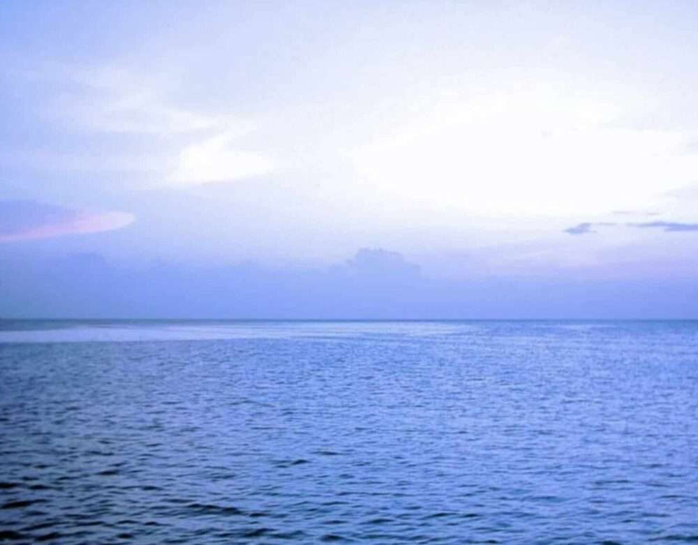 Giornata mondiale degli Oceani: ecco alcuni brand ecosostenibili giornata mondiale degli oceani