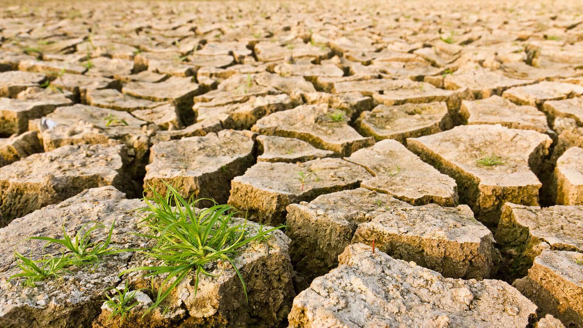 Emergenza climatica: perché non ci preoccupiamo abbastanza? Emergenza climatica - Photo Credits Globalist.it