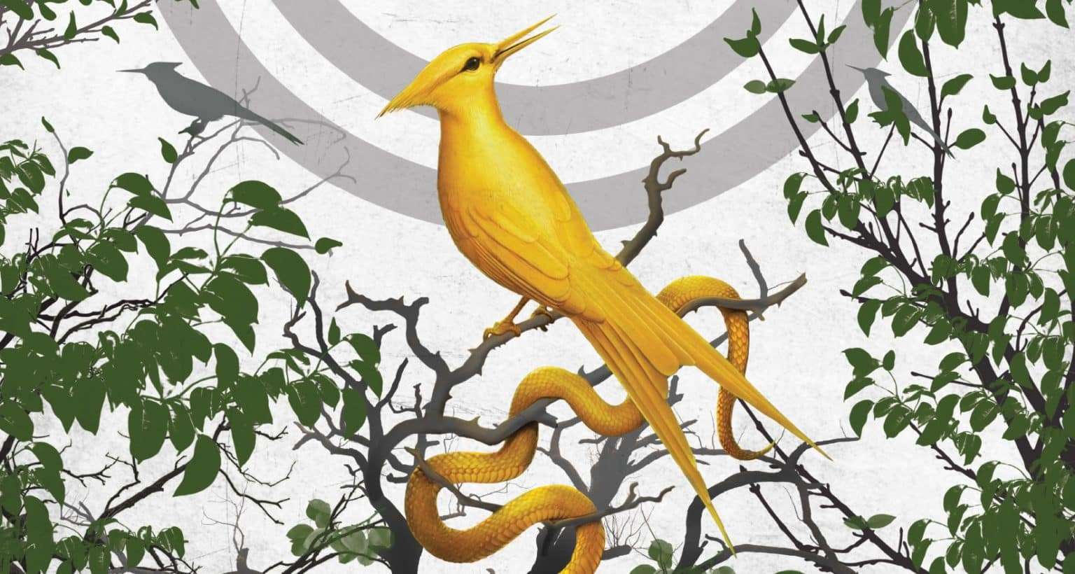 Hunger Games: Ballata dell’usignolo e del serpente, arriva il teaser del film prequel