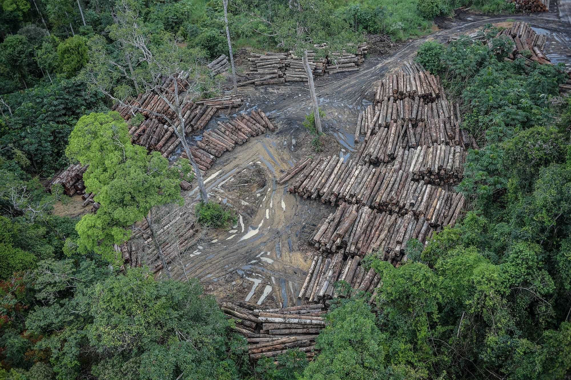 Amazzonia: cosa la sta distruggendo? Amazzonia - Photo Credits Brazzil.com