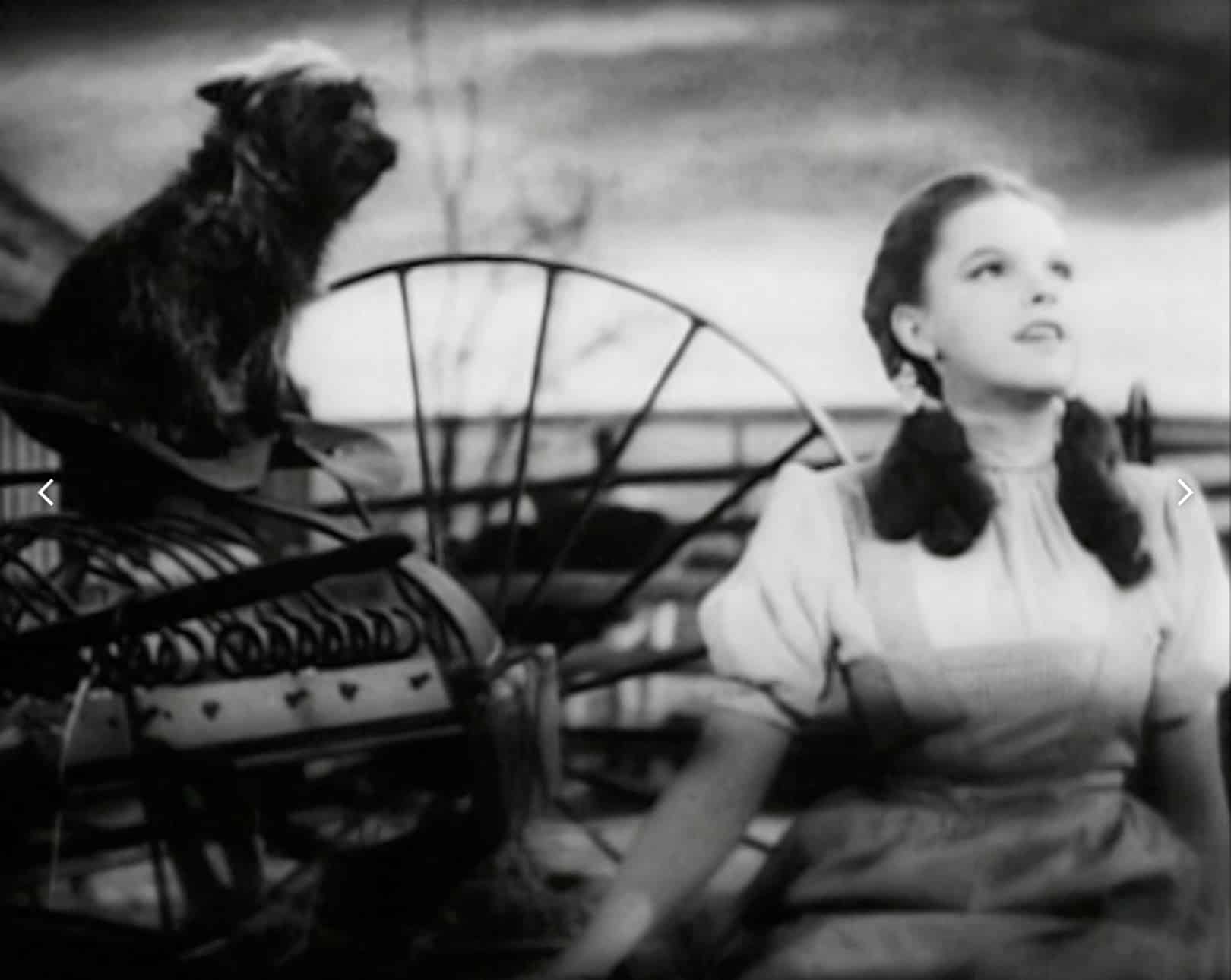 Il 12 agosto 1939 usciva al cinema “Il Mago di Oz” Il mago di Oz al cinema photo credits wikipedia
