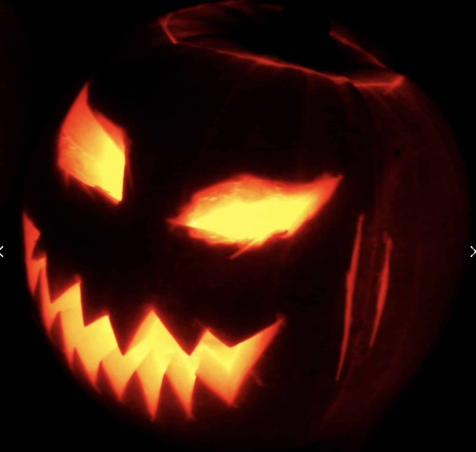 Come preparare la zucca intagliata per la festa di Halloween Zucca intagliata halloween photo credits wikipedia