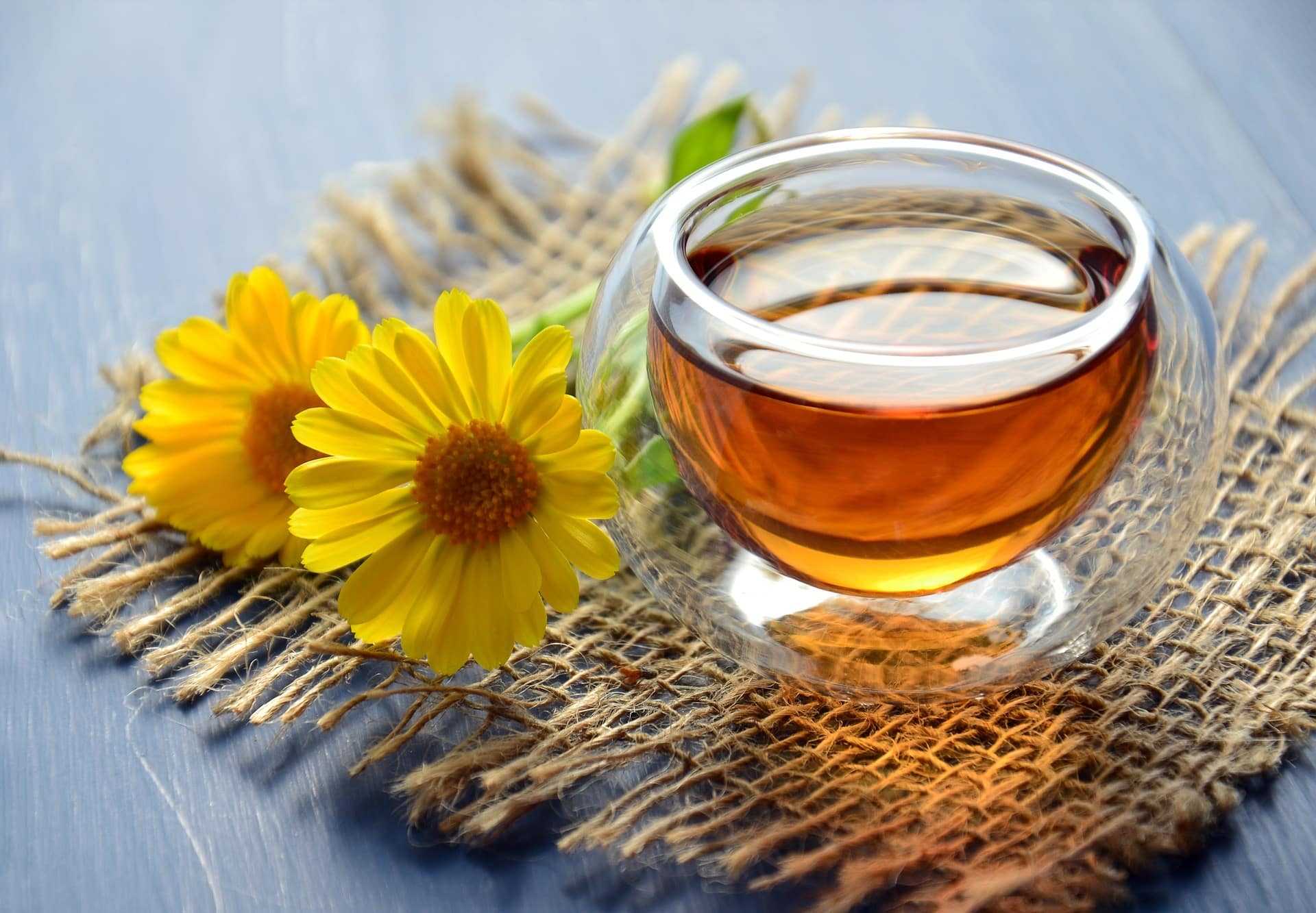 Tisane invernali, quali assumere per contrastare il freddo invernale Tisane photo credits wikipedia