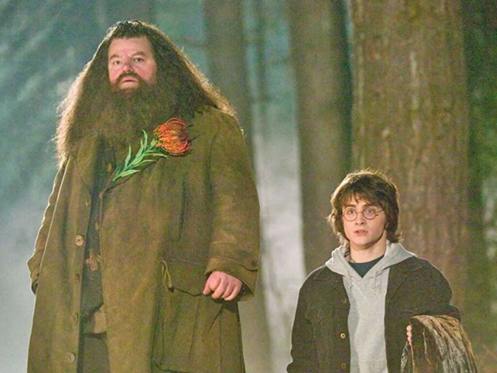 Morto Robbie Coltrane Hagrid
