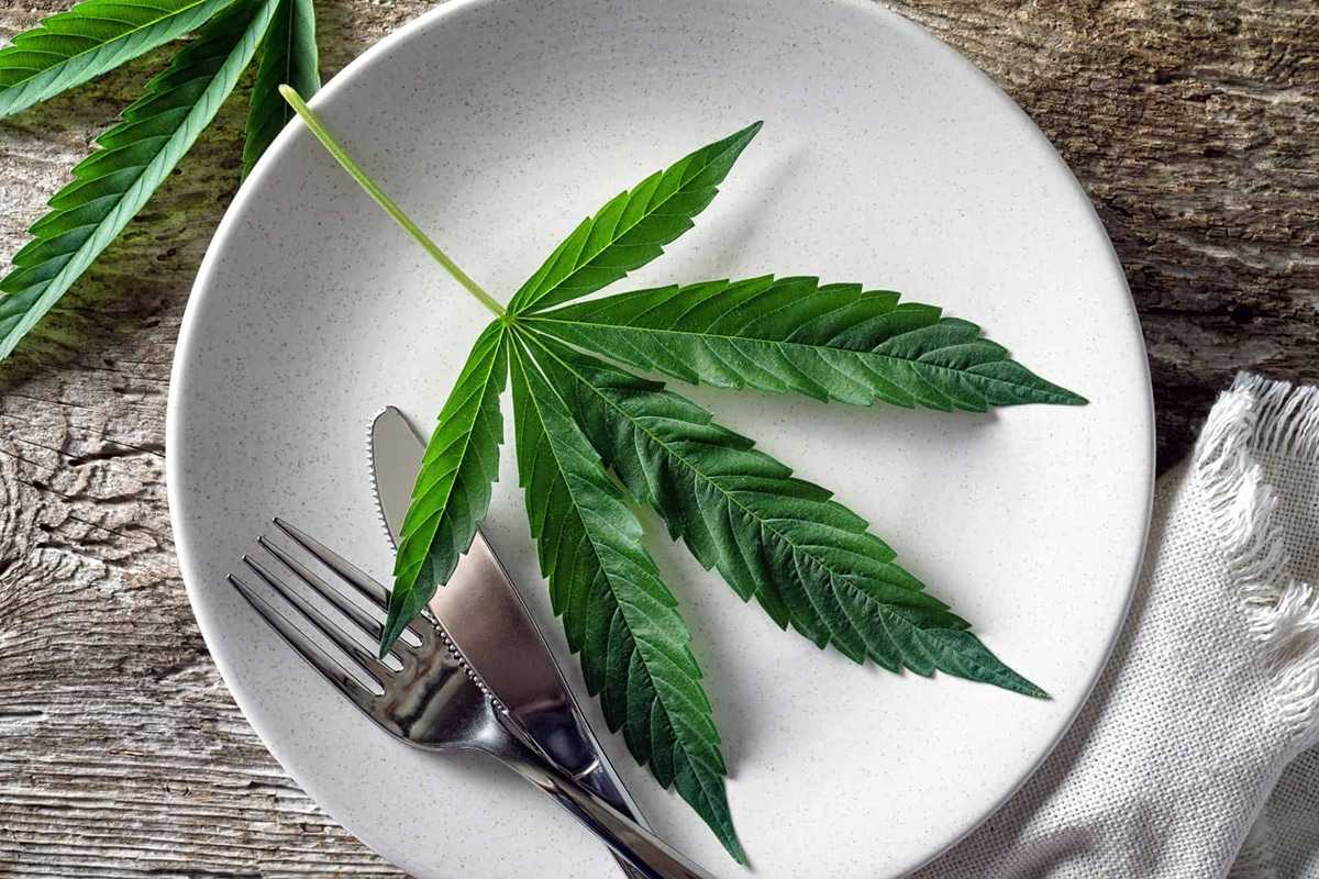 I vantaggi del CBD alla propria dieta: ecco come!