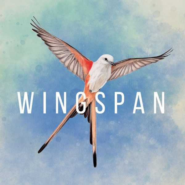 Wingspan: recensione di un gioco diverso