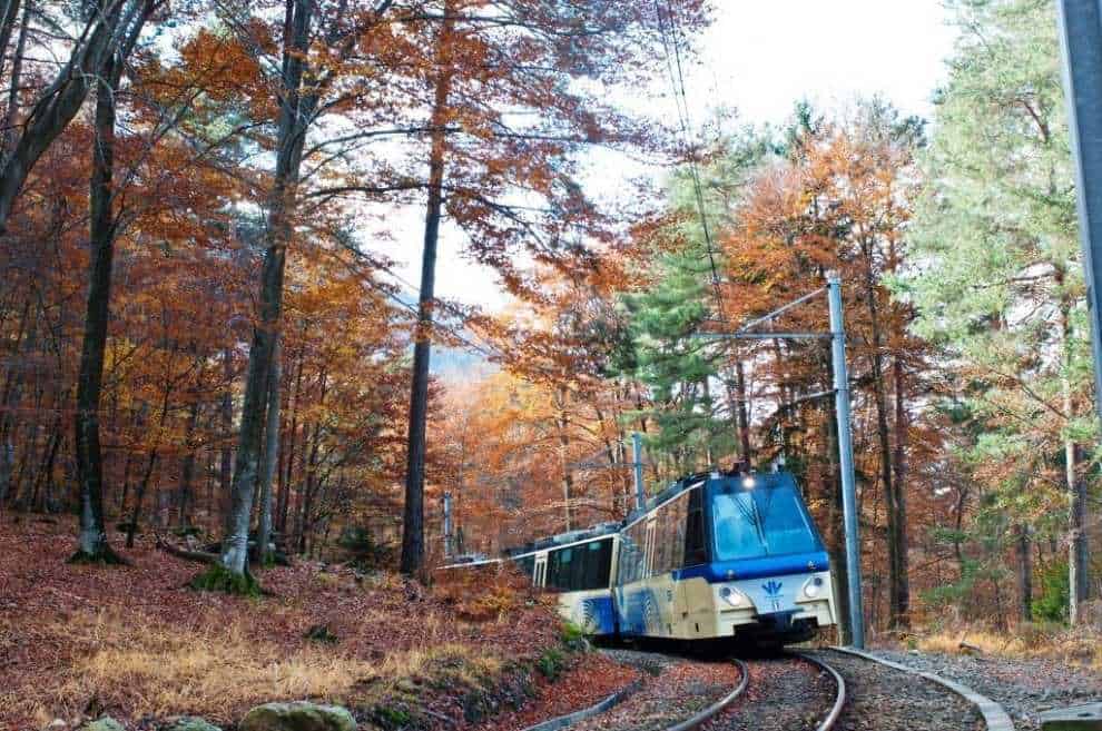 Viaggiare in treno attraverso l’Italia: ecco 5 mete da raggiungere