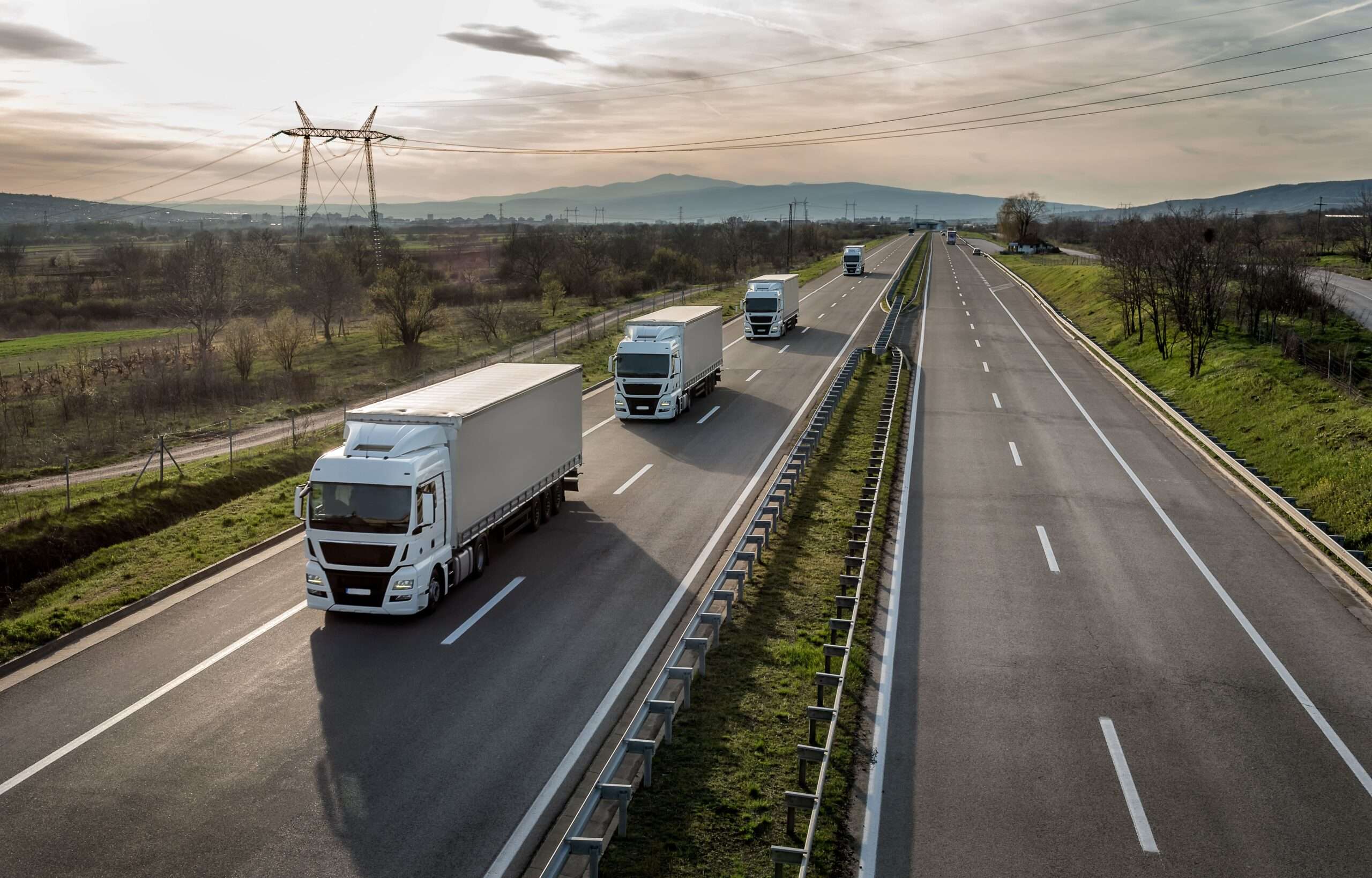 EGOInternational: export in aumento in tutte le regioni italiane