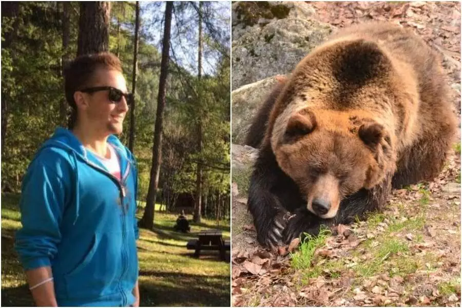 Catturata Jj4, l’orsa che ha ucciso il runner Andrea Papi in Trentino