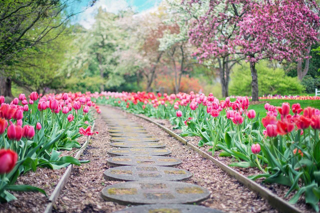 Come curare e tenere sempre in ordine il tuo giardino giardino