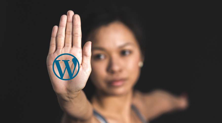 15 modi per proteggere il tuo sito WordPress e andar meglio su Google proteggere wordpress