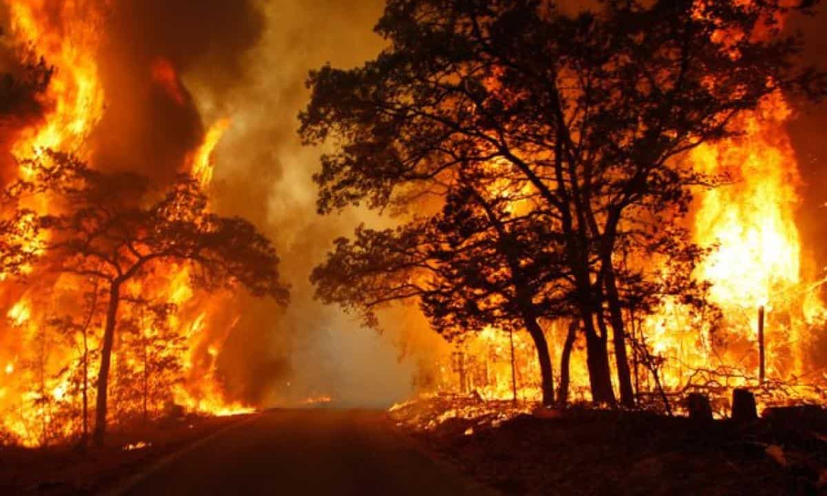 Il Sud brucia: roghi in Sicilia, Calabria e Puglia. L’Italia verso lo stato d’emergenza