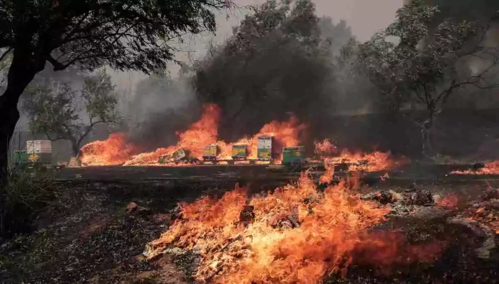 strage di migranti in Grecia, fonte notizie.virgilio.it